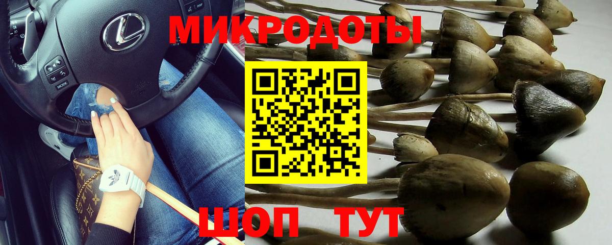 Псилоцибиновые грибы GOLDEN TEACHER Серов